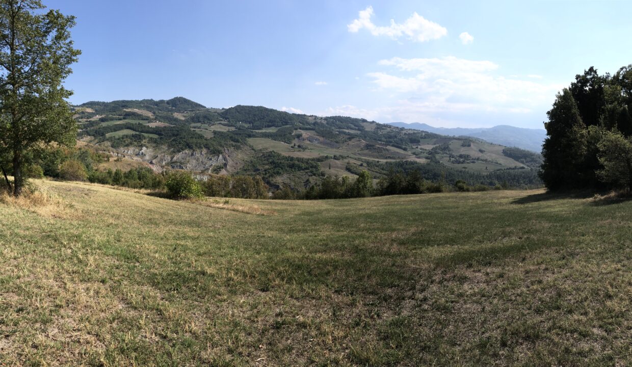 72